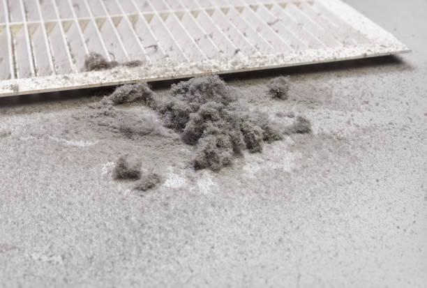 Best Air Duct Cleaning Company Near Me  in Laie, HI