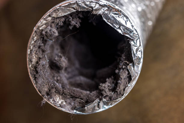 Best Ventilation Cleaning Services  in Laie, HI